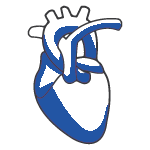 Cardiologue En Ligne