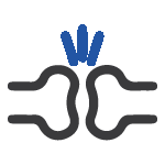 Rheumatologist