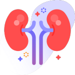 Néphrologue